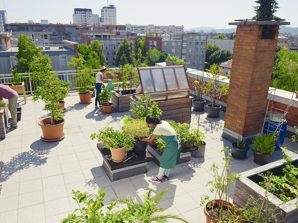 Menschen arbeiten auf einer Dachterrasse